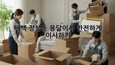 태백 장성동 용달이사, 안전하게 이사하기!